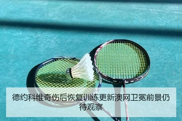 德约科维奇伤后恢复训练更新澳网卫冕前景仍待观察(leyuapp)